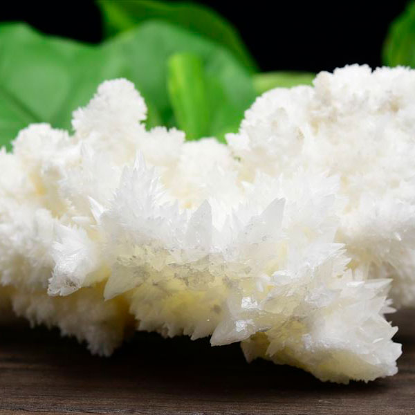 アラゴナイト フロスフェリ flosferri クラスター 原石 ■約815.5g■ メキシコ・チワワ州 サンタエウラリア産 ホワイトアラゴナイト｜アラゴナイトフロスフェリ｜霰石｜あられ石｜なごみ石｜天然石｜原石｜■39ショップ■