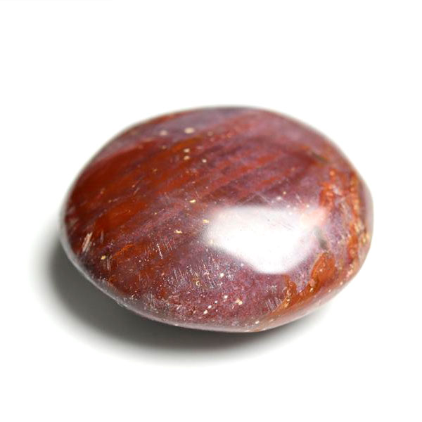 楽天市場】パームウッド フォッシルパームウッド【インドネシア産