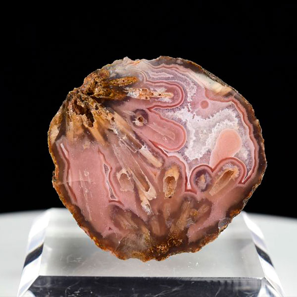 Laguna Agate ラグナアゲート 瑪瑙 原石 ◆メキシコ・ラグナ産◆ 約40.4g メノウ｜ラグナ｜アゲート｜瑪瑙｜ノジュール｜ハーフカット｜スライス｜原石｜鉱物｜標本｜天然石｜パワーストーン｜浄化｜■39ショップ■｜アップストーン店 14,746円