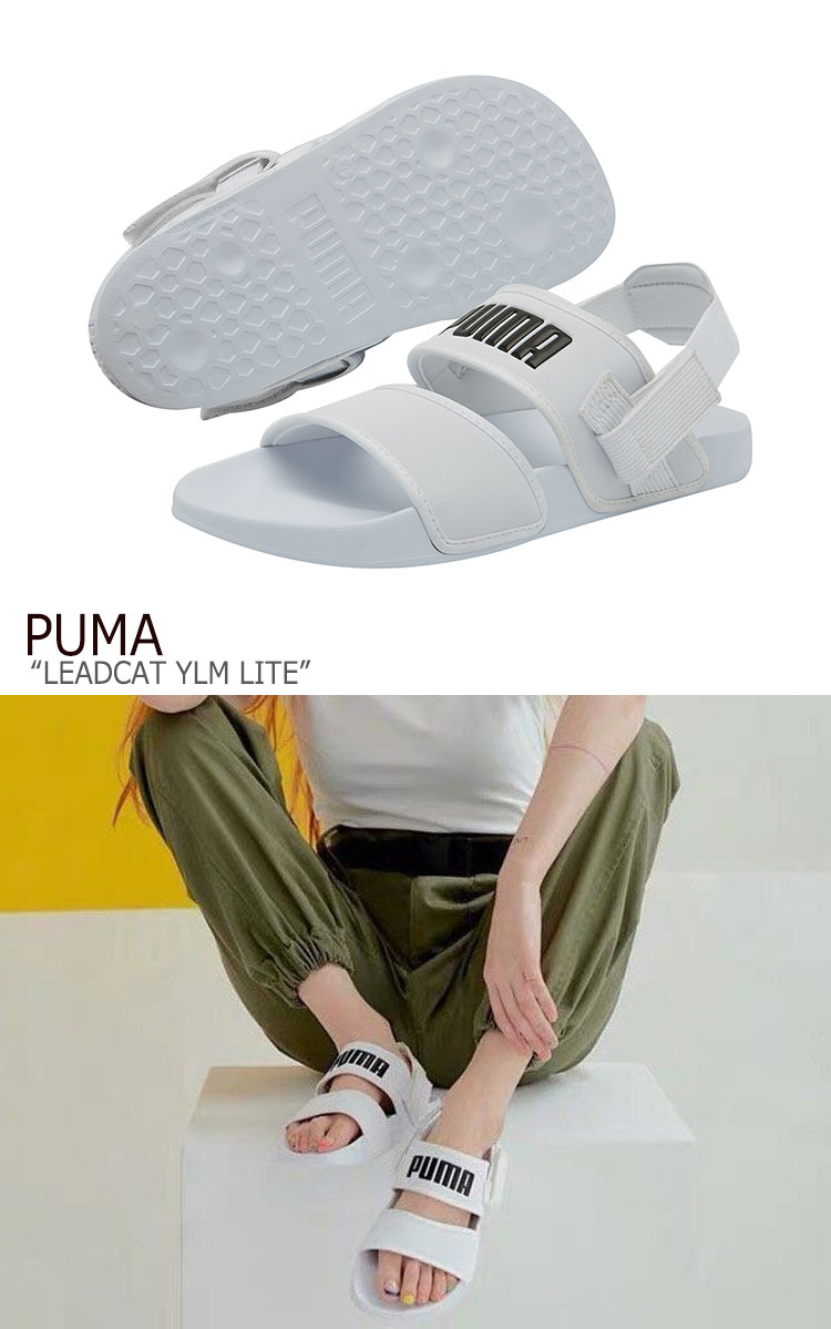 puma ylm