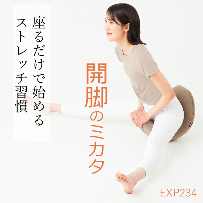 開脚 ストレッチ 器具 股関節 柔軟 ストレッチ 開脚補助 自宅 初心者 柔軟性アップ 開脚のミカタ EXP234 アルインコ 股関節 ストレッチ クッション 体 前屈 開脚ストレッチ 器具 開脚クッション ストレッチクッション 健康器具 足 股割り 補助 柔軟 エクササイズ｜アップタウン