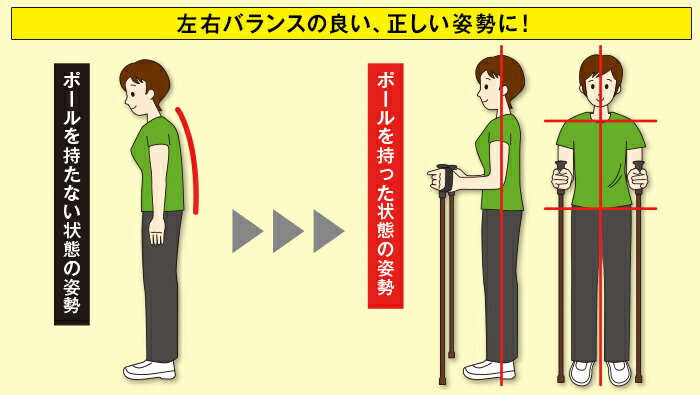 ウォーキングポール/杖/ステッキ/ポールウォーキング