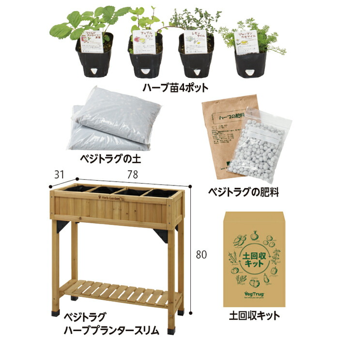 はじめる菜園セット　料理におすすめハーブ苗　タカショー 苗 ハーブ ベランダ 菜園 キット セット 料理 ハーブ 栽培 家庭菜園 ベランダ菜園 ハーブ苗 家庭 栽培セット 誕生日プレゼント 母親 祖母 女性 50代 ギフト 贈り物 プレゼント｜アップタウン