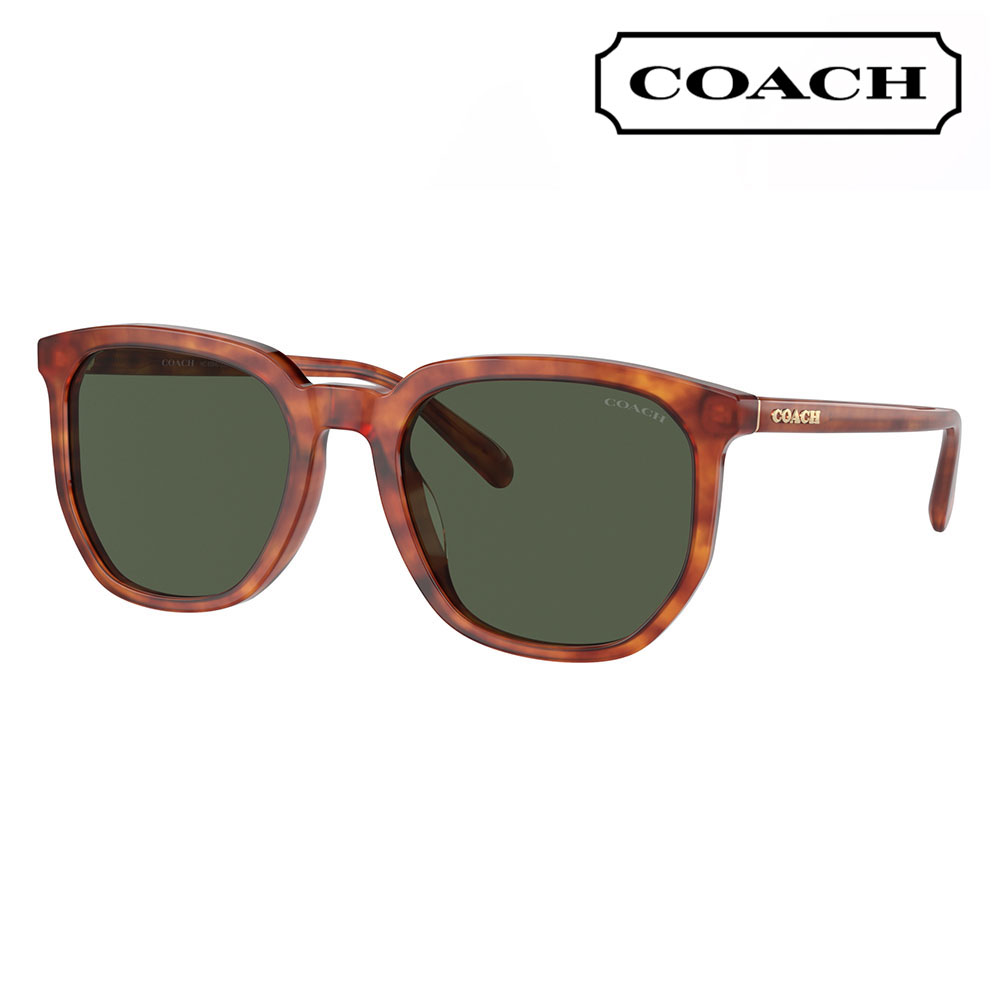 【オススメ価格】コーチ サングラス HC8384U 577482 55 COACH 紫外線 ウェリントン ボストン レディース ユニバーサルフィット レディース UVカット｜What&rsquo;s up？-ワッツアップ- 9,563円