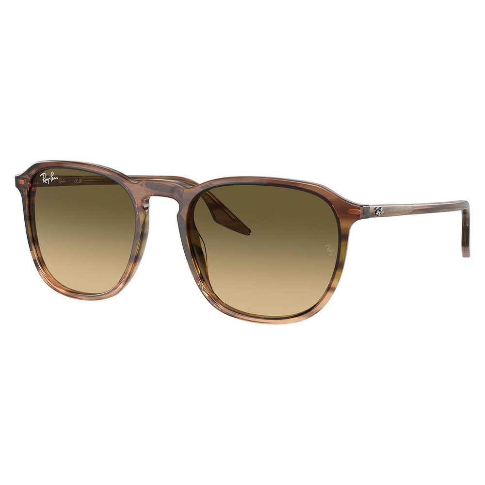 Ray-Ban ORB2203F サングラス 902/51 レイバン 楽天市場】レイバン サングラス RB2203F 902/51 55mm Ray-Ban