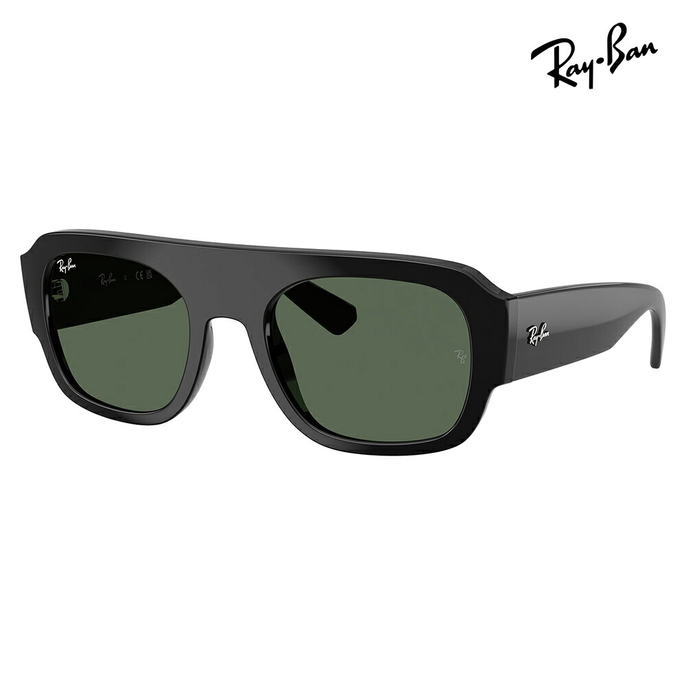 【正規品販売店】レイバン サングラス RB2218 667771 55 Ray-Ban レイバン純正レンズ対応 多角形 セル ユニセックス