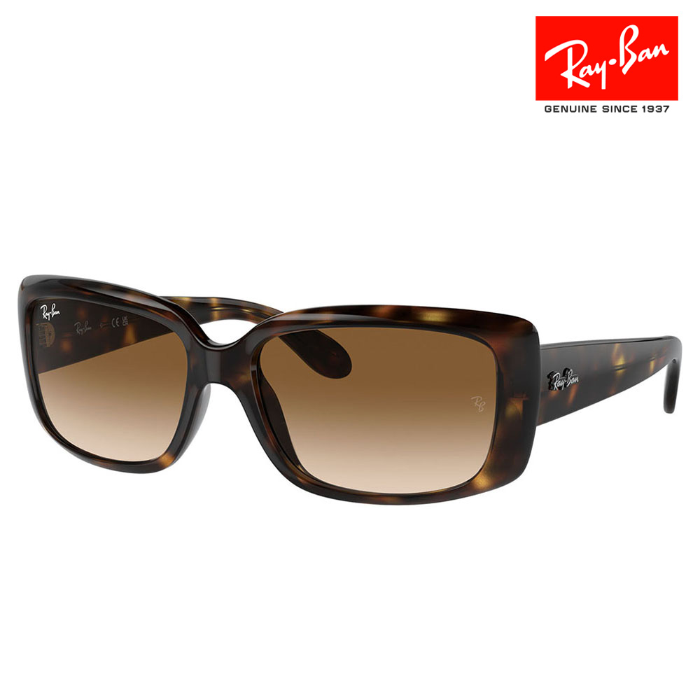 レイバン  サングラス  RB4171F 710/T5 54 ブラウン ERIKA（Ray-Ban） レイバン サングラス rb4171f 710/T5 54サイズ