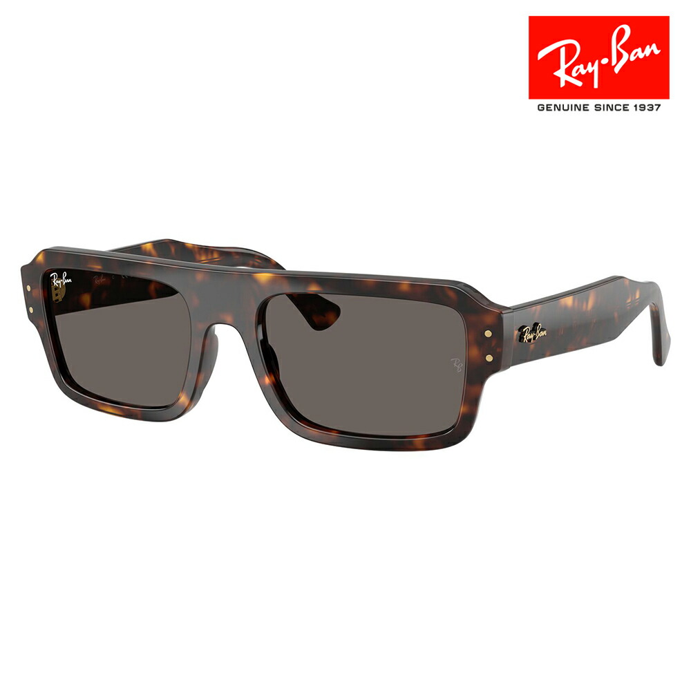【正規品販売店】レイバン サングラス RB4454F 1359B1 53 Ray-Ban レイバン純正レンズ対応 Predator プレデター ダブルブリッジ ラウンド セル ユニセックス
