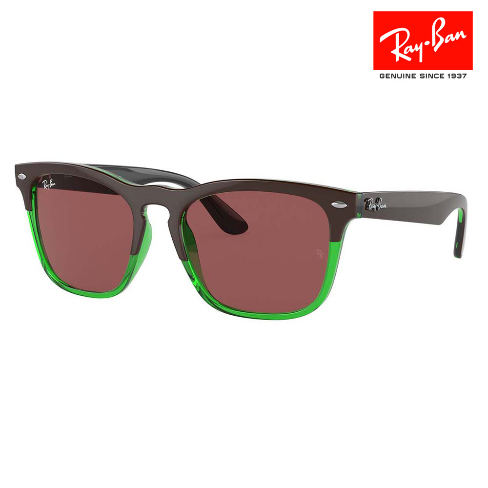 楽天市場】【正規品販売店】レイバン サングラス RB4487F 66308G 54