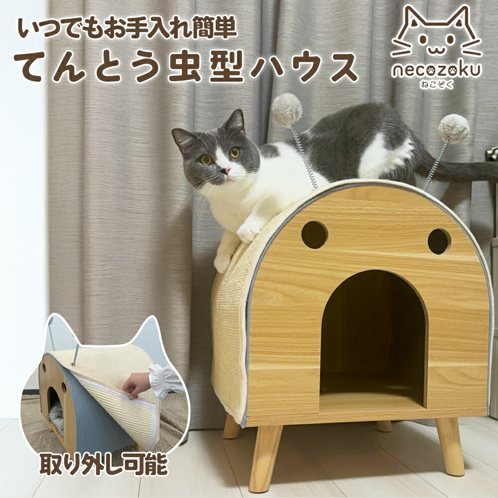 圧倒的人気 本日発送 M50PHUGFFCT [M50PHUGFFCT]