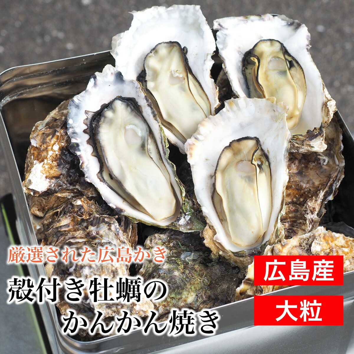 【楽天市場】【送料無料】殻付き牡蠣のかんかん焼き 広島県産 占部水産 新鮮 直送 加熱調理用 お取り寄せ 新鮮な殻付かきを生きたままお届けし ...