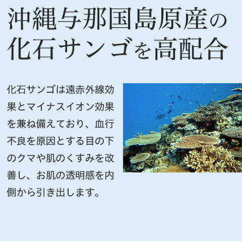 楽天市場 1000円offクーポン配布中 1 30 セルソアン アンシェントマスク ヒトオリゴペプチド 1 Egf 泥パック クレイパック 目元 クマ くすみ 乾燥 透明感 エイジングケア 毛穴 黒ずみ お風呂 日本製 ギフト プレゼント 送料無料 Urban Beauty Products 楽天市場店