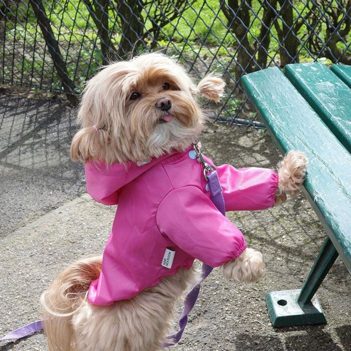 即納【noonoosoom】Windbreaker jacket（Pink） 犬服  ドッグウェア  犬の服  小型犬  小型犬服  犬備品  ドッググッズ  韓国  雨合羽  春