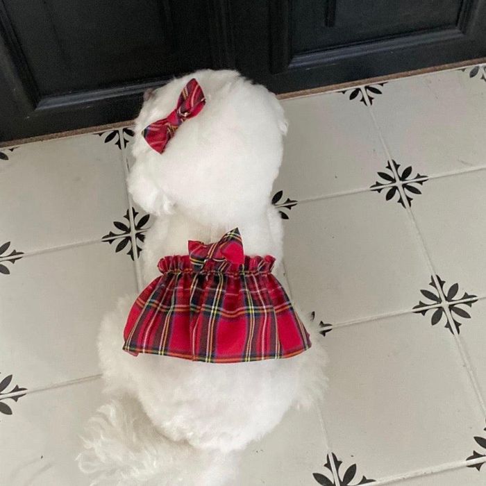 ※予約販売【Hi Yeboo】Preppy Harness（Red） 韓国 ブランド かわいい おしゃれ プレゼント 小型犬 ハーネス 散歩グッズ NEW 春 夏 秋