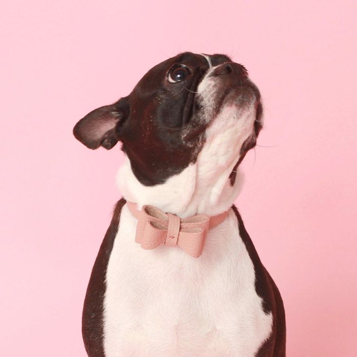 即納【maison de miu】Soft Ribbon Collar（Rose Pink） 犬用品 ドッググッズ 首輪 ドッグカラー 犬の首輪 犬首輪小型犬 犬首輪 犬用首輪 リボン レザー 7,022円