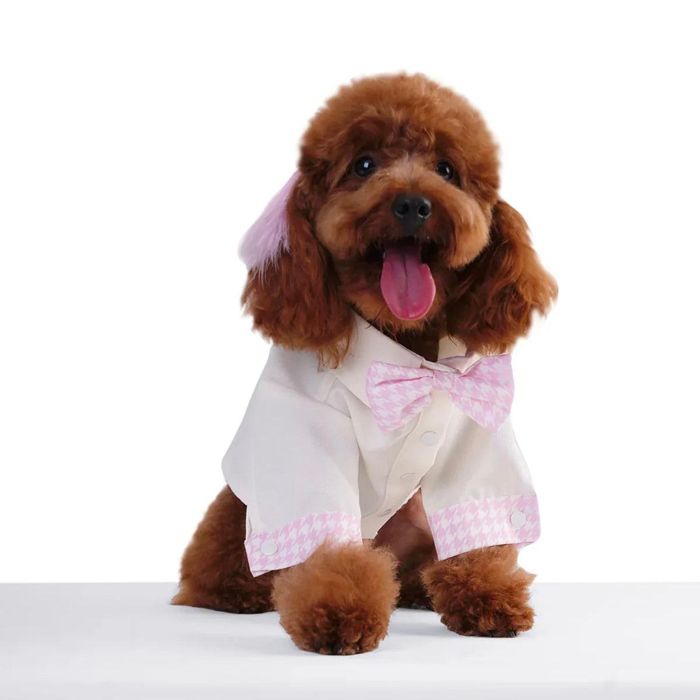 即納【MOSHIQA】Milky Dog Shirt アメリカ 犬用品 ドッググッズ Tシャツ スリーブレス ドッグウェア 犬服 犬の服 小型犬 小型犬服