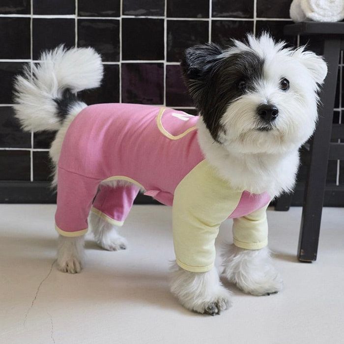 ※予約販売【noonoosoom】Big love all day all in one 犬服 ドッグウェア 韓国 犬用品 ドッググッズ Tシャツ スリーブレス 犬の服 小型犬 小型犬服
