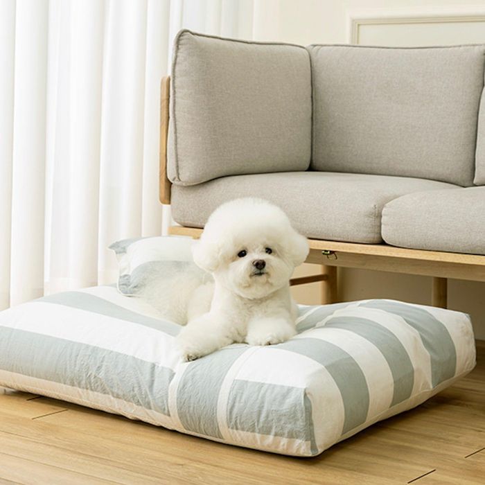 即納【Chiot】Comfort Coming Bed Cosy Stripe（Mint） ドッグベッド  犬用臥榻  犬用座布団  ドッグクッション  犬座布団  犬備品  ドッググッズ  愛玩動物座布団  犬臥榻  寝床