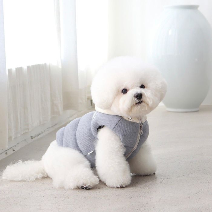 即納【Chiot】Mitte Knit Padding（Powder Blue） 犬服 ドッグウェア 犬の服 防寒 冬 冬服 犬用品 ドッググッズ 軽量 軽い｜URBAN DOG TOKYO 店