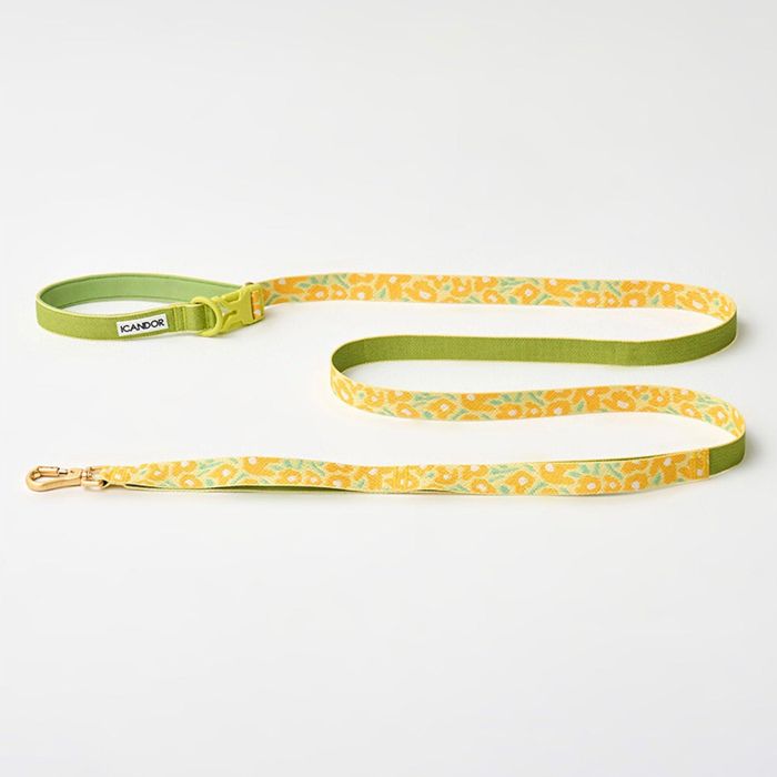 即納【iCANDOR】Gentle Leash Bolt（BIG FISH YELLOW） 韓国 犬用品 ドッググッズ リード 散歩用品 散歩リード 犬用リード 大型犬 大型犬服 マナーポーチ