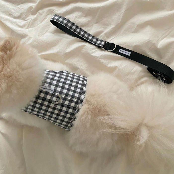 即納【Bonjour TOU-TOU】Eyelet Check Harness（Black） 犬用品 ドッググッズ ハーネス ドッグハーネス 犬ハーネス 犬用ハーネス リード 犬用リード 犬リード 散歩リード