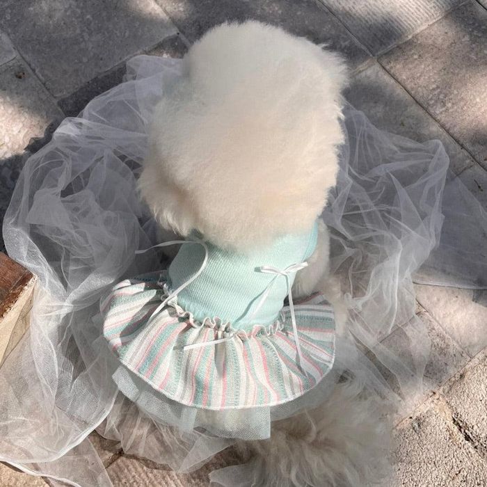 ※取っておく売りわたす【Hi Yeboo】Vivi Tutu Sleeveless（Mint） 犬服  ドッグウェア  犬の服  小型犬  小型犬服  犬装置  ドッググッズ  衣袂受け答え  春  夏