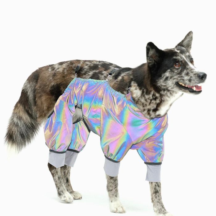 ※予約販売【munikund】Wald Wander（Reflective Black） 犬服 ドッグウェア 防水 防汚 安全 夜道 デザイン フィット感 性能 ペット｜URBAN DOG TOKYO 店