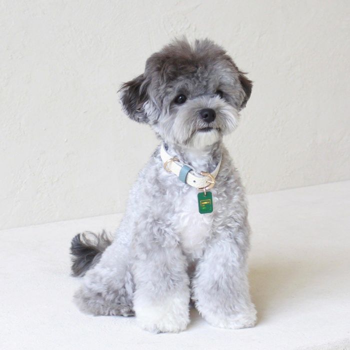 即納【maison de miu】Pet Collar (White / Indian Blue) 犬用品 ドッググッズ 首輪 犬の首輪 ドッグカラー 犬首輪 犬用首輪 牛革 高級 柔らかい