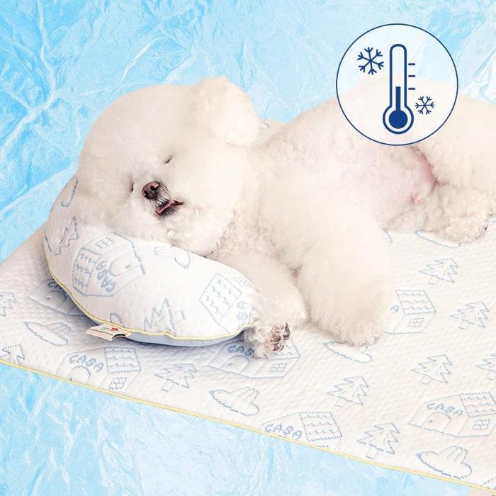 ※取っておく売りわたす【BITE ME】All Day Cooling Mat + Pillow set（3 types） 韓国  犬装置  ドッググッズ  つや消し  犬用つや消し  愛玩動物用つや消し  愛玩動物座蒲団  犬用座蒲団  夏  冷やかす