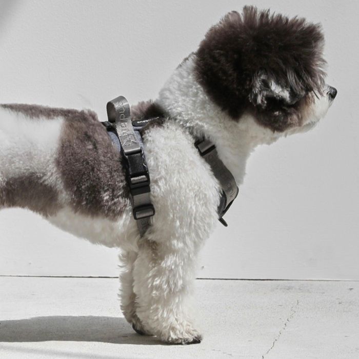 即納【andblank】Essential Pro Harness（Gray） 犬用品 ドッググッズ ハーネス リード 韓国 散歩グッズ 散歩用品 犬のハーネス ドッグハーネス 犬ハーネス