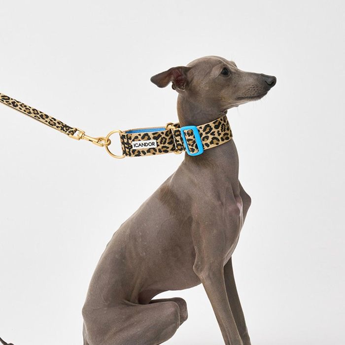 ※予約販売【iCANDOR】Smooth Martingale Collar 38mm（LEOPARD） 犬用品 ドッググッズ 首輪 犬の首輪 ドッグカラー 犬首輪 犬用首輪 韓国 散歩用品 散歩グッズ