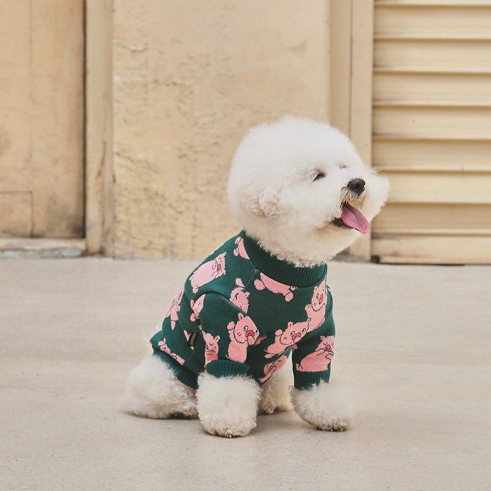 即納【andblank】Piggly Knit 韓国 ブランド名 愛くるしげ 今めかしい 差し上げ物 小型犬 NEW 中型犬 春 秋 冬 お出かけ 大型犬 犬