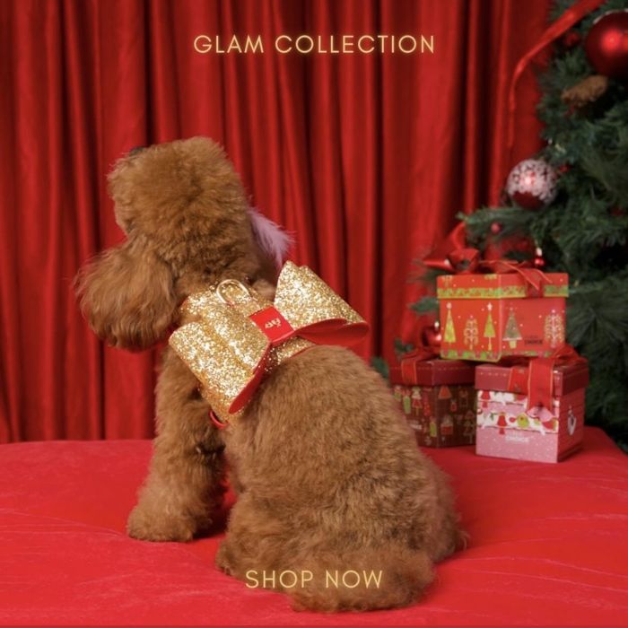 即納【MOSHIQA】Glam Dog Harness 亜米利加 犬装置 ドッググッズ 馬具 ドッグハーネス 犬馬具 犬用馬具 小型犬 小型犬服 本革