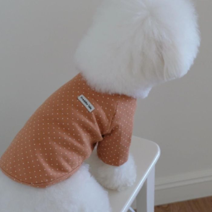 ※予約販売【FREDDIE TALE】Dotter raglan tee(brown) 犬服 ドッグウェア 犬の服 小型犬 小型犬服 犬用品 ドッググッズ 韓国 Tシャツ スリーブレス