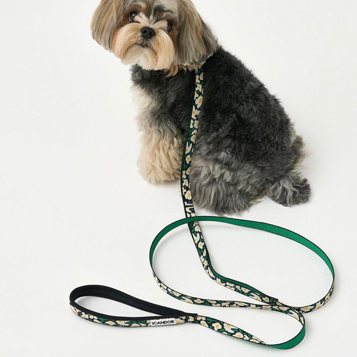 ※予約販売【iCANDOR】Gentle Leash Bolt（BIG FISH BLACK）1.6m-15mm 韓国 犬用品 ドッググッズ 犬のリード 犬用リード 引き綱 りーど 犬リード 散歩リード 散歩用品