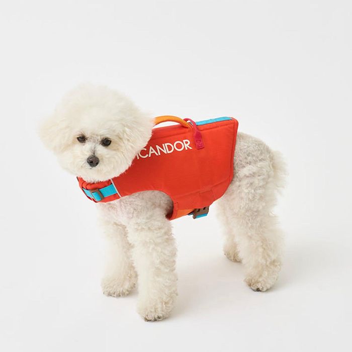 ※取っておく売りわたす【iCANDOR】Pawsaver Life Jacket（Red Orange） 犬備品  ドッググッズ  ドッグウェア  犬服  犬の服  韓国  大型犬  大型犬服  生存期間上衣  夏