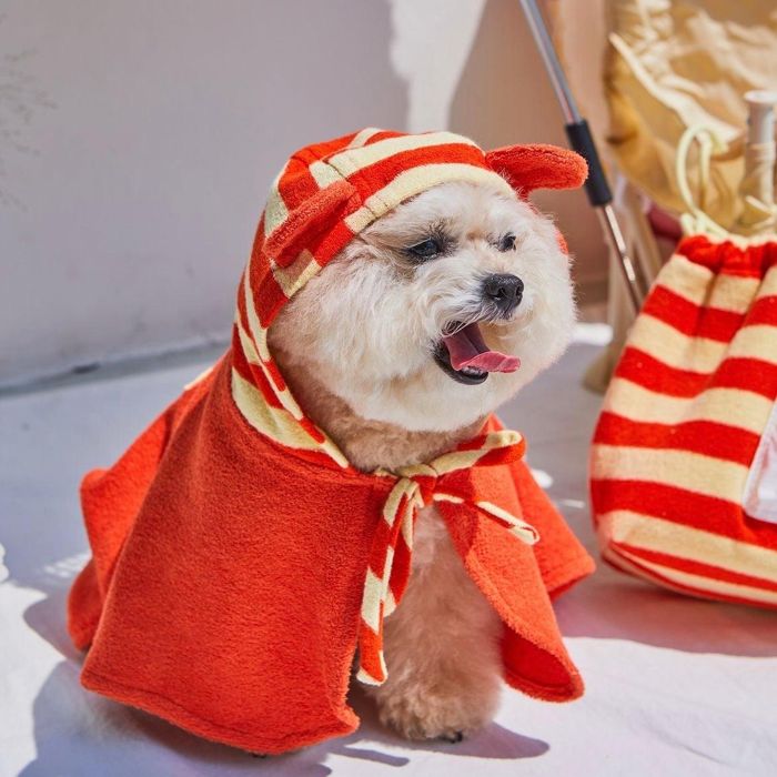 ※予約販売【barbe a papa】Terry Bear Robe（Orange/Yellow） 犬用品 ドッググッズ ドッグウェア 犬服 犬の服 小型犬 小型犬服 韓国 ケープ ワンピース
