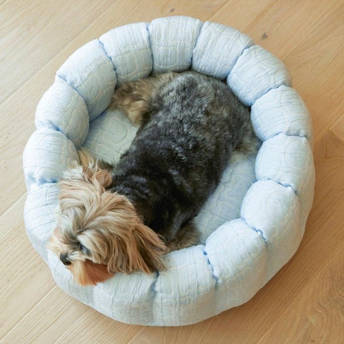 即納【azalea】Cool Cloud Blue Bear Summer Eddition Canele Cushion 韓国 犬装置 ドッググッズ ドッグベッド 犬用寝台 犬用座布団 ドッグクッション 犬座布団 犬住み家 犬ベット