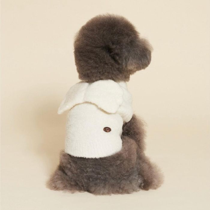 ※取っておく売りわたす【meaningless】Angel Knit 犬服  ドッグウェア  犬の服  小型犬  小型犬服  防寒  冬  冬服  犬装置  ドッググッズ