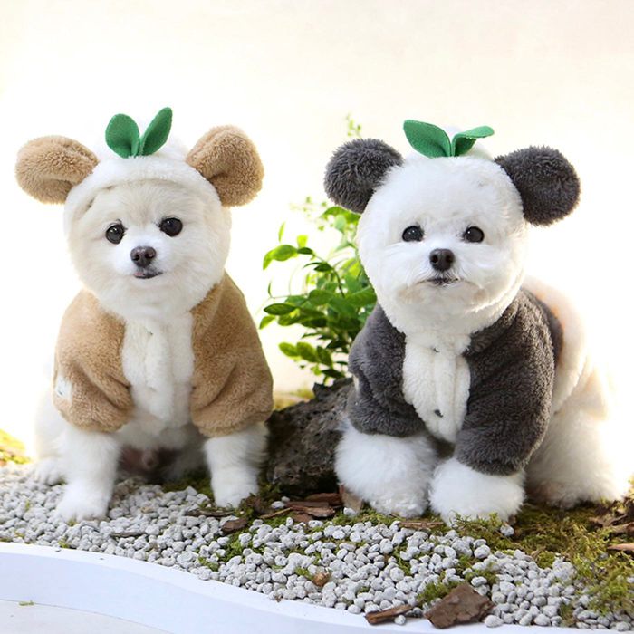 ※予約販売【ITS DOG】Mung Bao Warm-Up 犬服 ドッグウェア 犬の服 韓国 犬用品 ドッググッズ 小型犬 小型犬服 冬 冬服 防寒