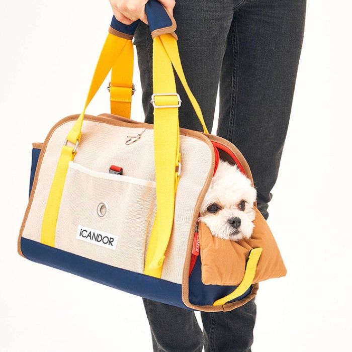 楽天市場】※予約販売【iCANDOR】BRISBANE BAG（EASTWOOD BLUE
