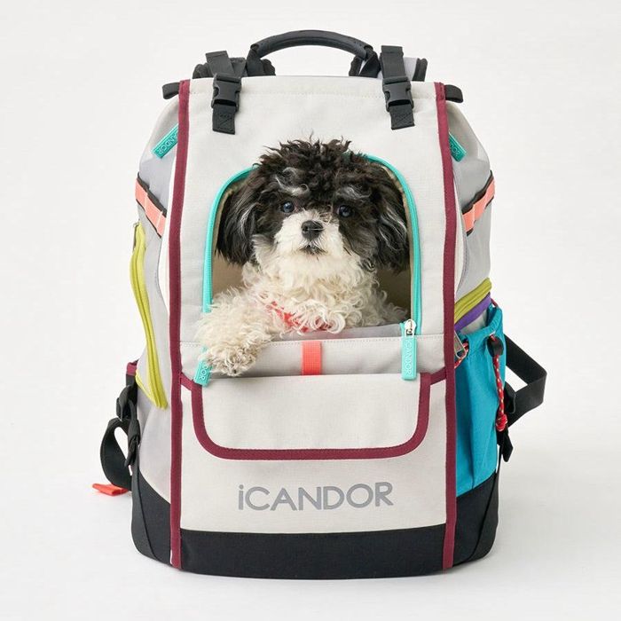 ※予約販売【iCANDOR】JIGE bag(Misty Gray)iCANDOR JIGE bag Misty Gray バッグ 犬用バッグ ドッグバッグ 犬のバック 犬 顔出し 犬のキャリーバッグ 犬のキャリーケース 犬リュックサック 背負えるキャリー おしゃれ キャリーバッグ 可愛い スリングバッグ 軽量 軽い 韓国|URBAN DOG TOKYO 店