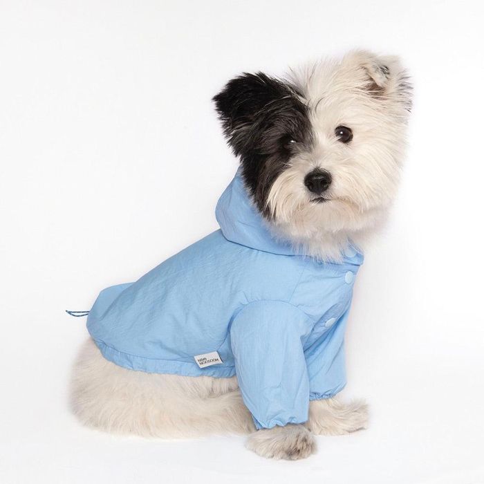 ※予約販売【noonoosoom】Rain jacket（Blue） 犬服 ドッグウェア 犬の服 レインコート 韓国 犬用品 ドッググッズ 軽い 丈夫 小型犬