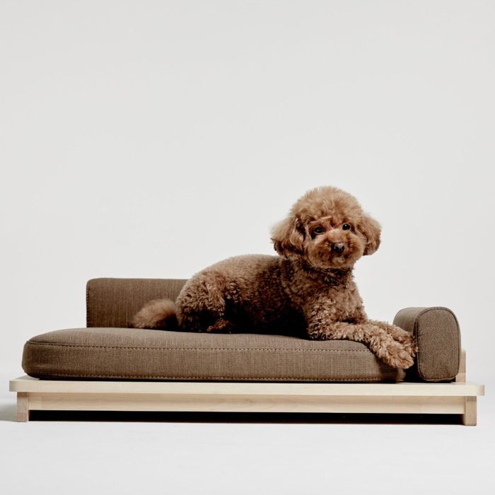 即納【Bad Marlon Design Studio.】Linden bed（Brown） 韓国 ブランド名 愛くるしげ 今めかしい 差し上げ物 小型犬 御徒面子 くつ NEW 助けになる 座蒲団 犬
