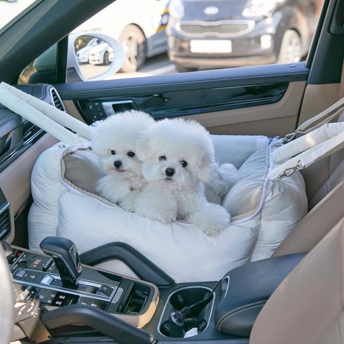 ※取って置く売りわたす【a tous moments】Mou Car seat 韓国 犬装置 ドッググッズ 鉄道車両寝台 鉄道車両腰掛け 運転御徒面子 ドッグベッド 犬用寝台 ドッグクッション 犬座布団