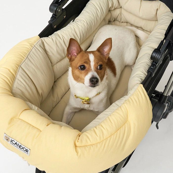 ※取って置く売りわたす【iCANDOR】URBAN ALL-IN-ONE CUSHION（CREAM） 韓国 犬装置 ドッググッズ ドッグクッション 犬座布団 犬用座布団 愛玩動物座布団 犬寝台 犬用寝台 ドッグベッド
