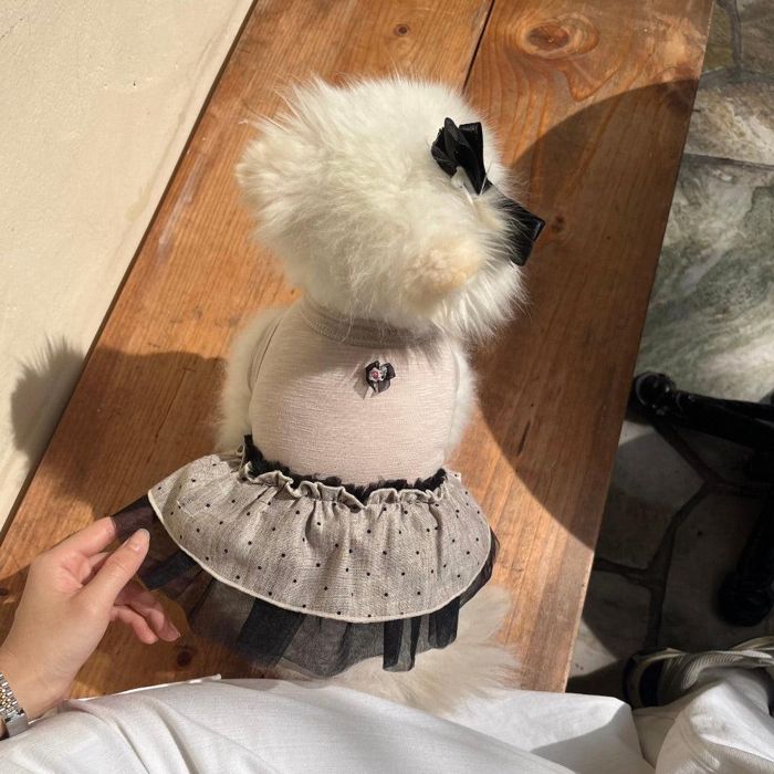 ※取って置く売りわたす【Hi Yeboo】Dots Tutu（Beige） 犬服  ドッグウェア  犬の服  犬装置  ドッググッズ  韓国  衣袂受け答え  小型犬  小型犬服  春