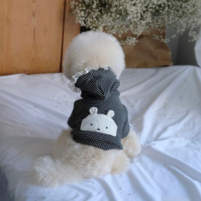 即納【BeBe Breath】play st hoodie 犬服 ドッグウェア 犬の服 小型犬 小型犬服 犬用品 ドッググッズ 韓国 春服 春