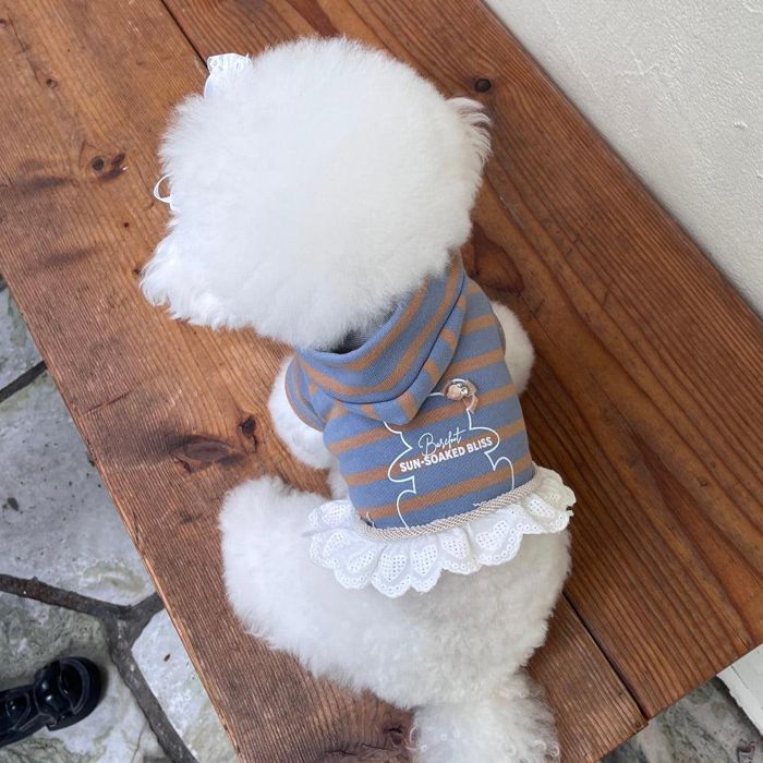 ※予約販売【Hi Yeboo】Bliss Bear Hoodie（Blue） 犬服 ドッグウェア 犬の服 小型犬 小型犬服 犬用品 ドッググッズ 春 春服 韓国