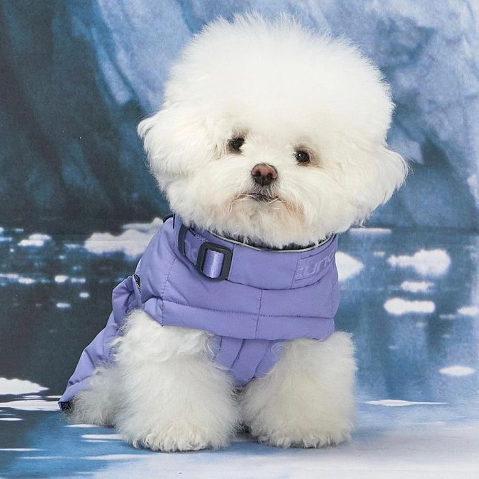 ※予約販売【munikund】Thermal Up Padding Air 2 -（Berry Blue） 犬服 ドッグウェア 犬の服 大型犬 大型犬服 防寒 冬 冬服 犬用品 ドッググッズ｜URBAN DOG TOKYO 店